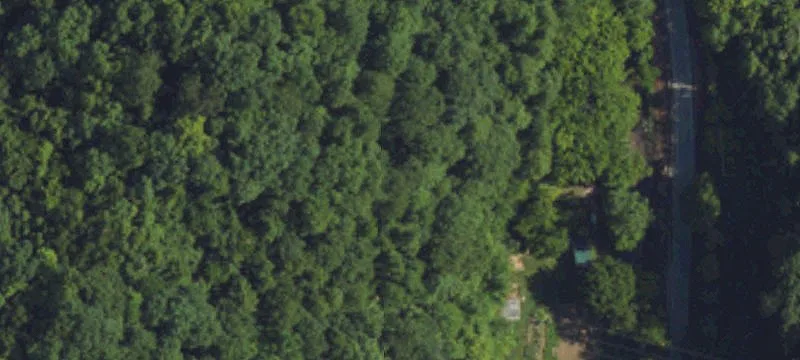 Pigeon Roost Rd