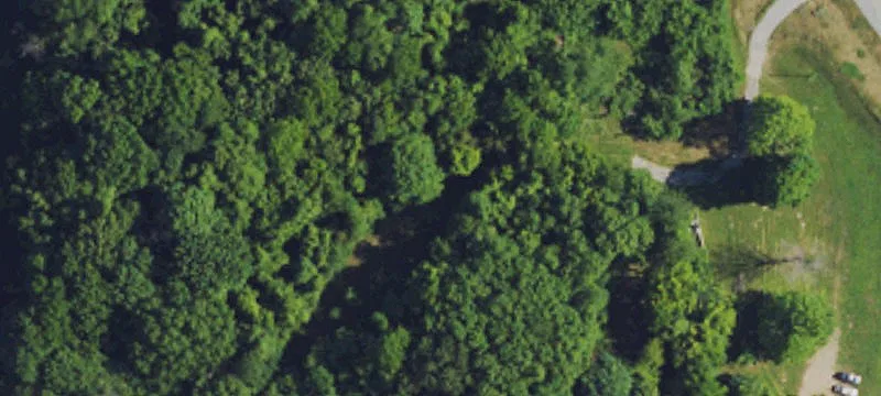 80 Holt Rd
