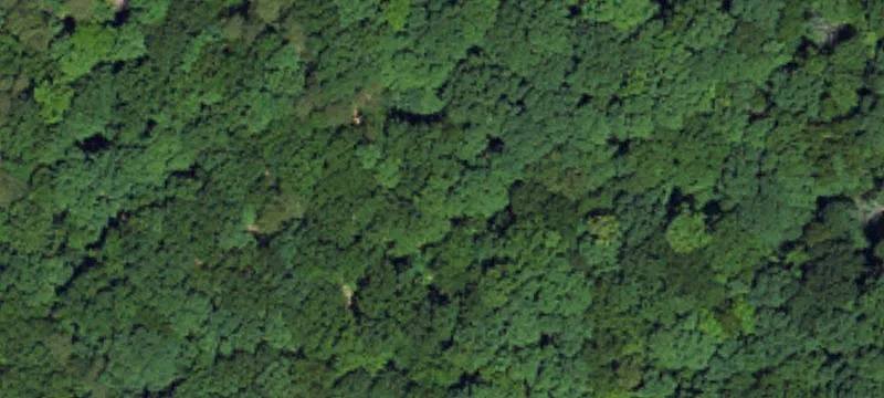 Lebanon, KY 40033