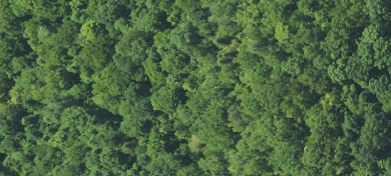Gayscreek Gayscreek