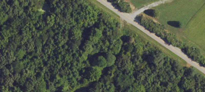 Mt Carmel Rd