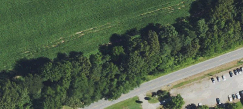 Paducah Rd