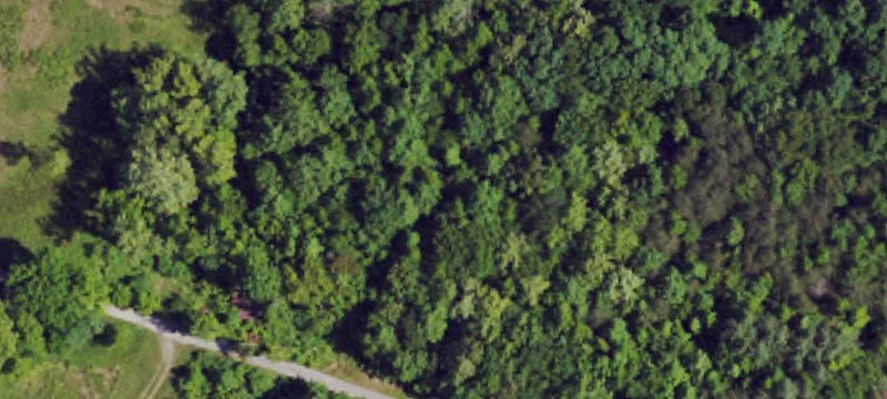 772 Ky Hwy 643