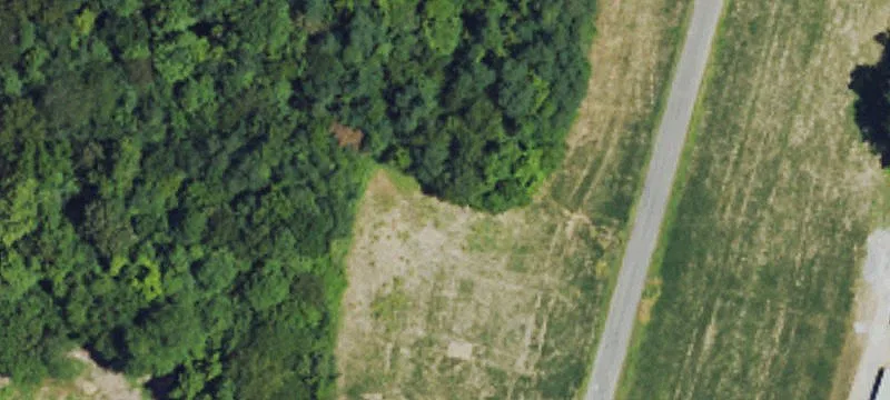 Bardwell, KY 42023