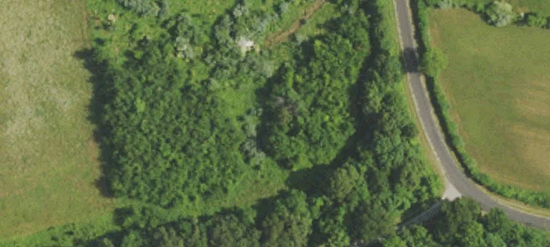 Cotton Patch Rd
