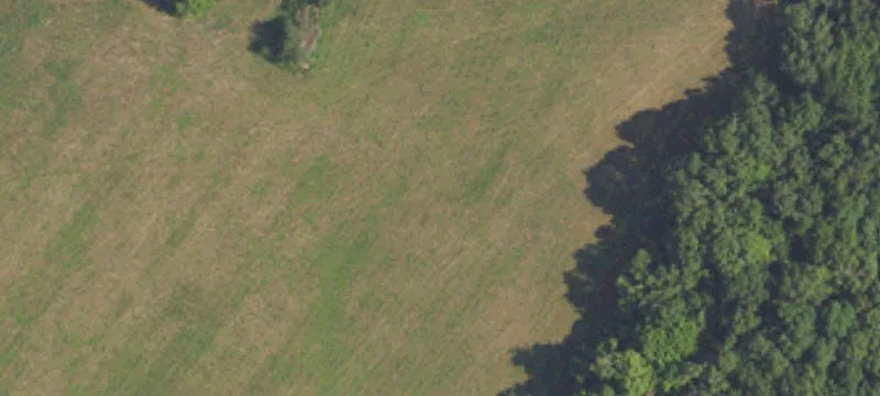 9019 State Rte 293rd S