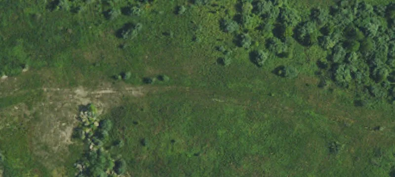 Quicksand, KY