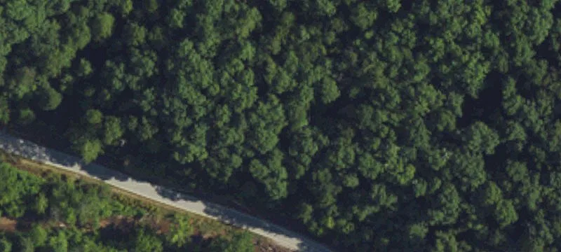 Pigeon Roost Rd