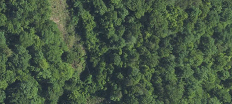 Hager Magoffin Co Ky
