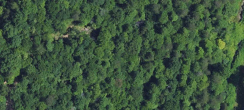 Caudill Branch