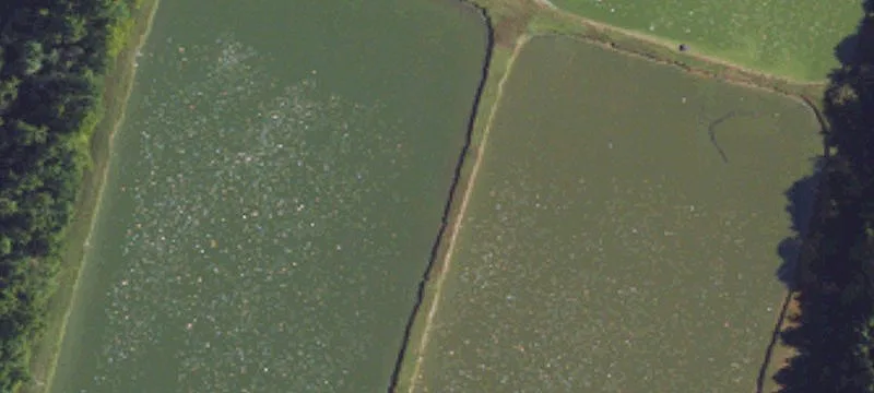 Pennyrile Pkwy