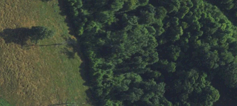 9142 Us 127