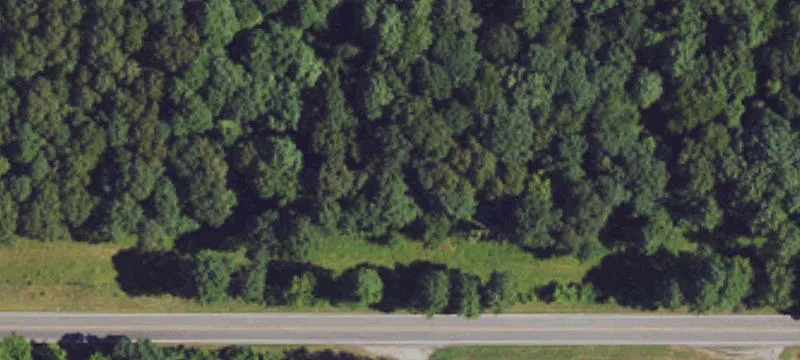 Daniel Boone Rd