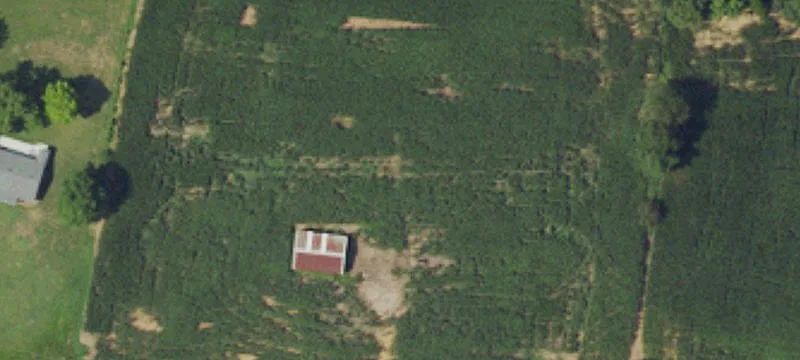 3962 State Rte 250
