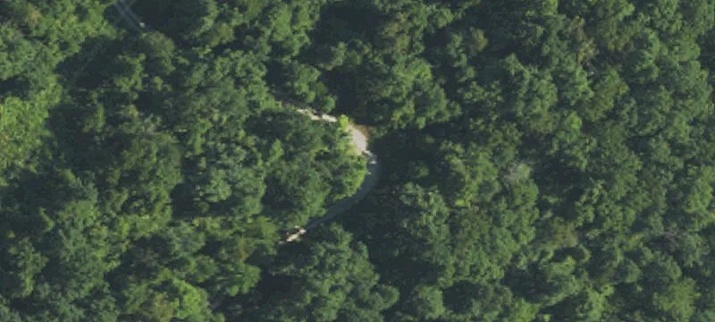 Lost Creek, KY 41348