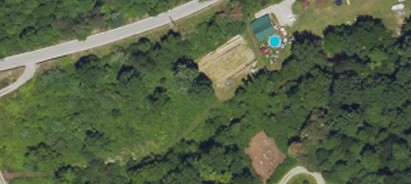 Saltlick