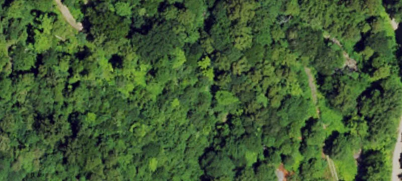 Ky 190th Laurel Frk Rd Rd