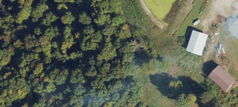  Falls