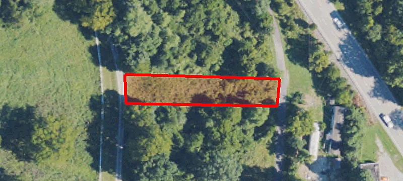 Goldberg Ln