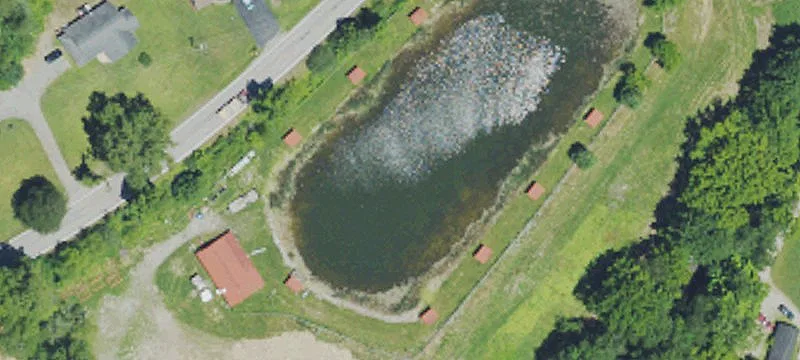 Elkhorn Creek