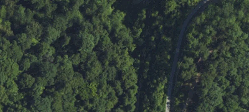 Alc-121 Chloe Rd, KY 