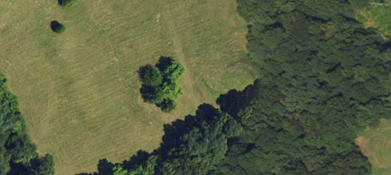 808 Wilson Farm Rd