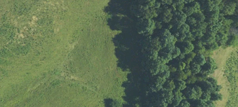 Ezel, KY 41425