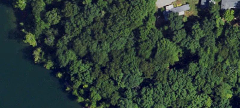299 Hackberry Ln