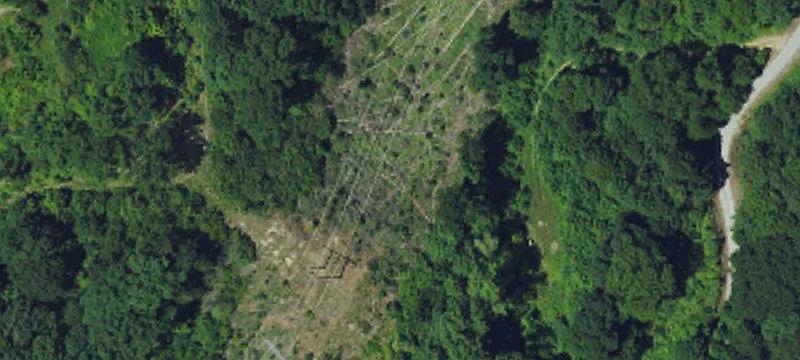 Hwy 80