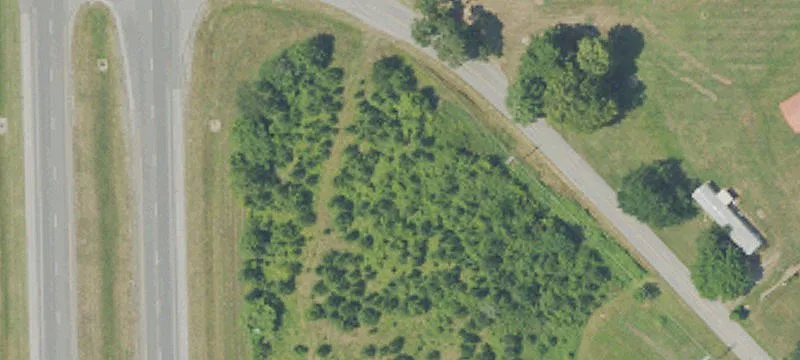 Almo, KY 42020
