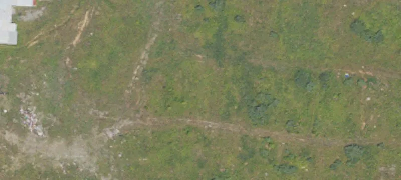 44 Livingston Cemetery Rd