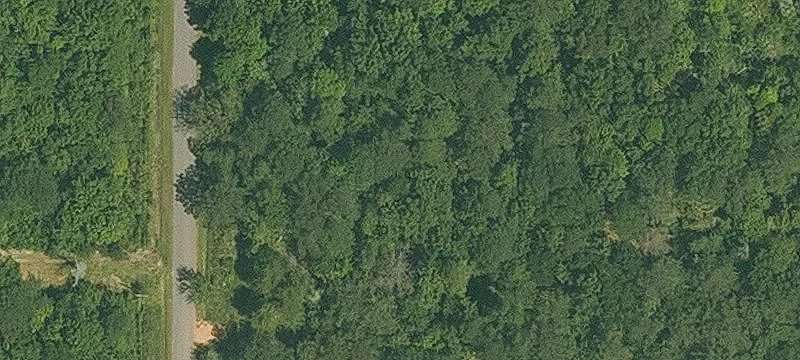 Madisonville, LA 70447