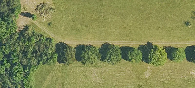 Franklinton, LA 70438
