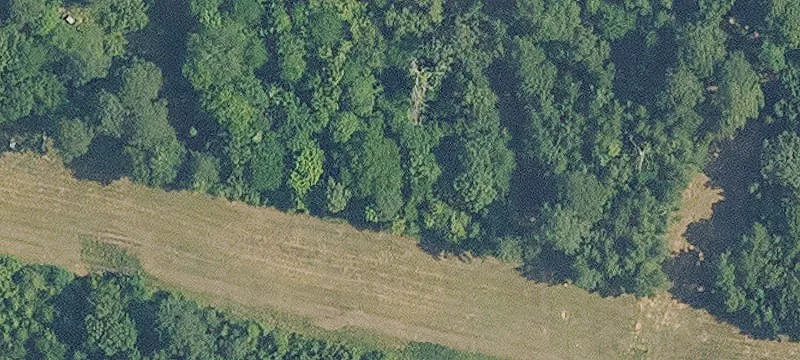 Wallace Lk Rd