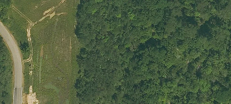 Madisonville, LA 70447