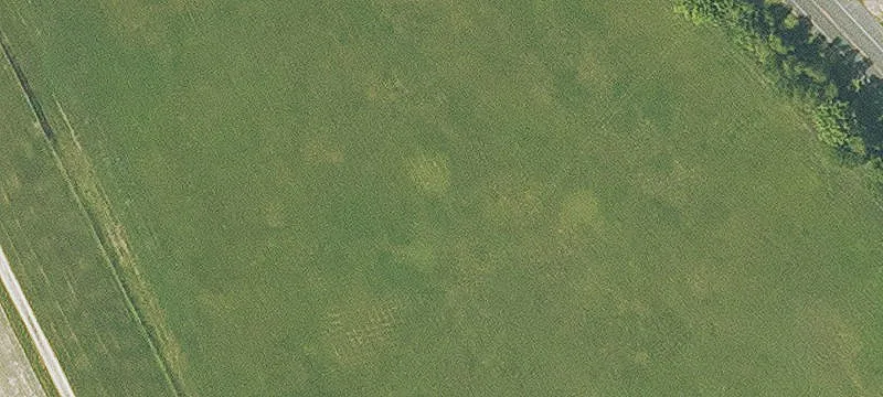 6504 Hwy 75