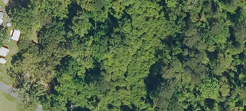 Elmer Rd