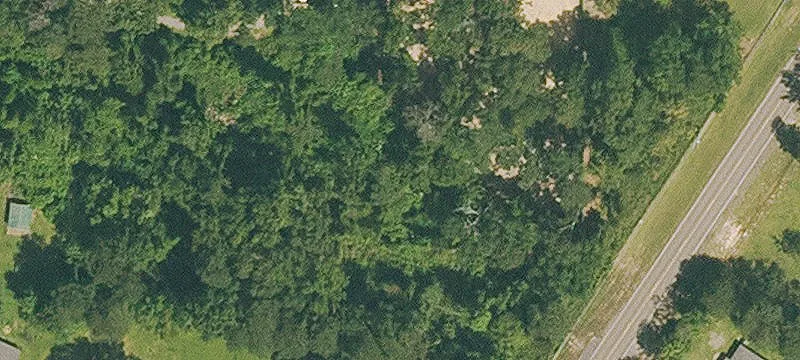 48555 Hwy 445