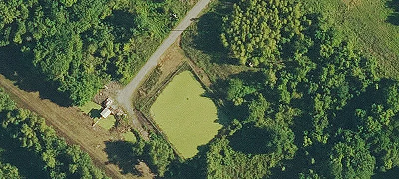 126 Vega Ct
