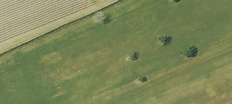 1909 Butcher Rd