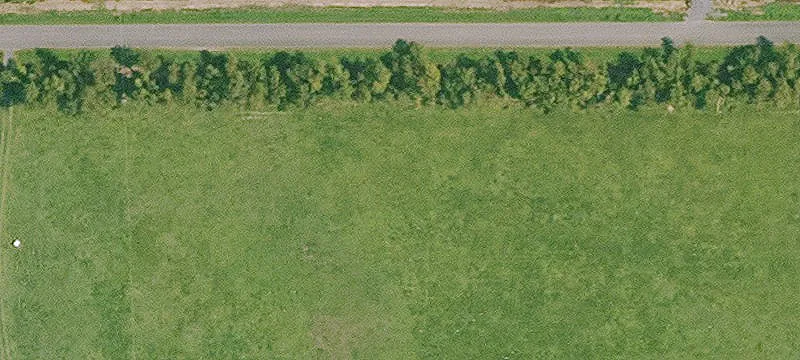 8153 Hwy 71