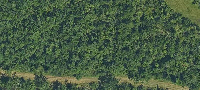 165 Hwy 55