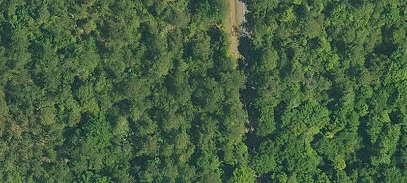 Bush, LA 70431
