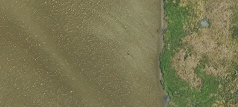 8380 Shrimpers Row