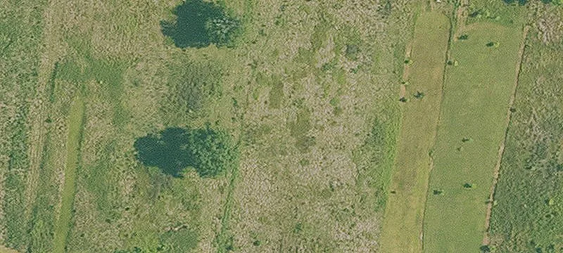 6360 Hwy 31