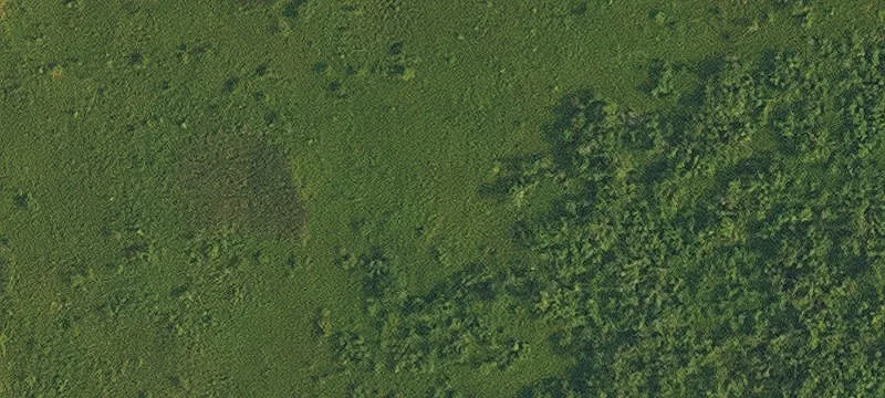 10592 Hwy 90