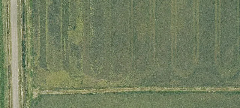 Gueydan, LA 70542