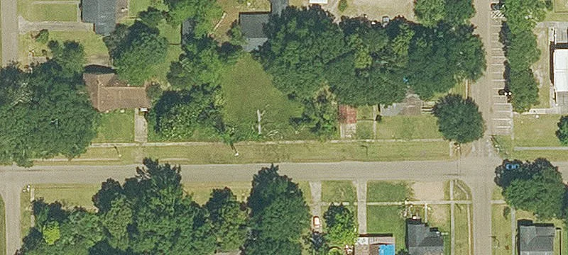 Palmetto St