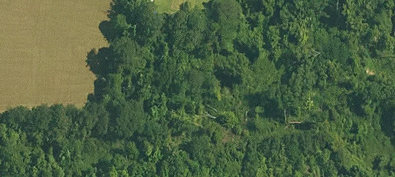 392 Hwy 40th E