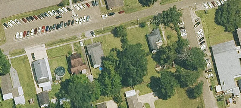 Tiger Ave
